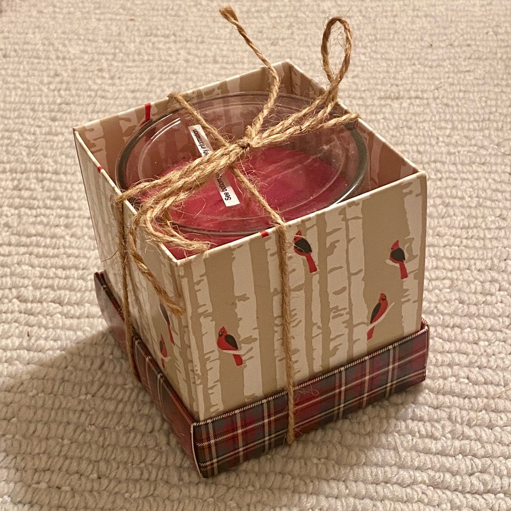 Cinnamon Apple Scented Filled Candle in Gift Box
